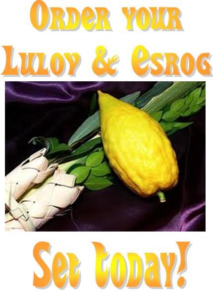 order lulov and esrog web.jpg